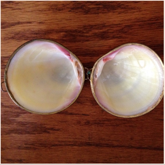 Pretty SHELL Latching Container🌿 - Picture 4 of 4